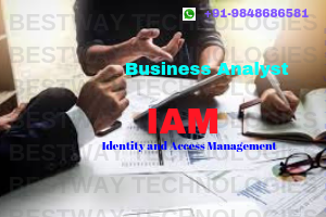 Business Analyst with IAM Domain